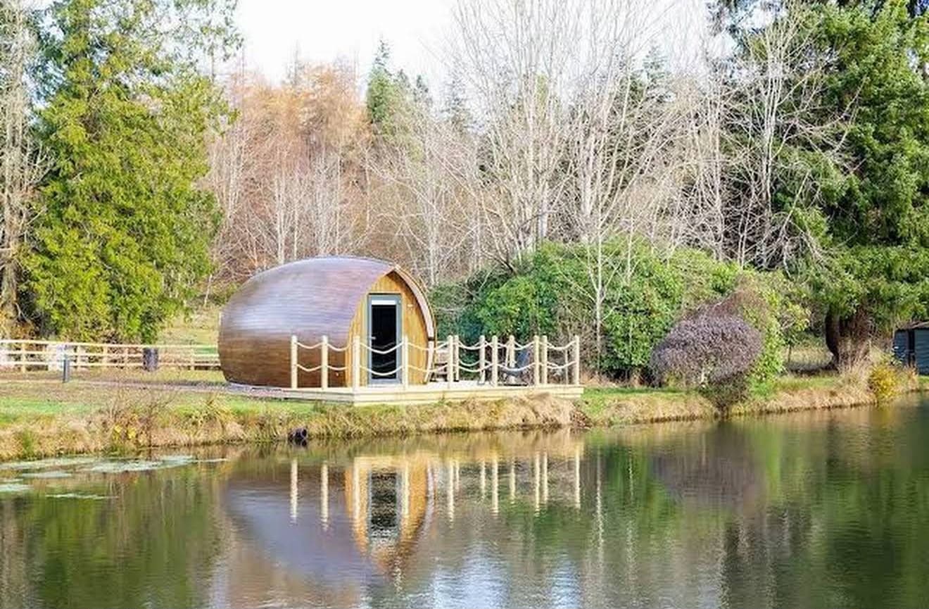 A woodland cabin stay